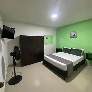 33 Bulerias Colombia